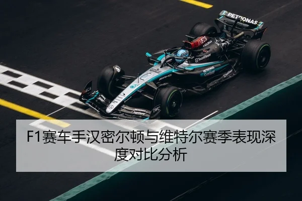 F1赛车手汉密尔顿与维特尔赛季表现深度对比分析